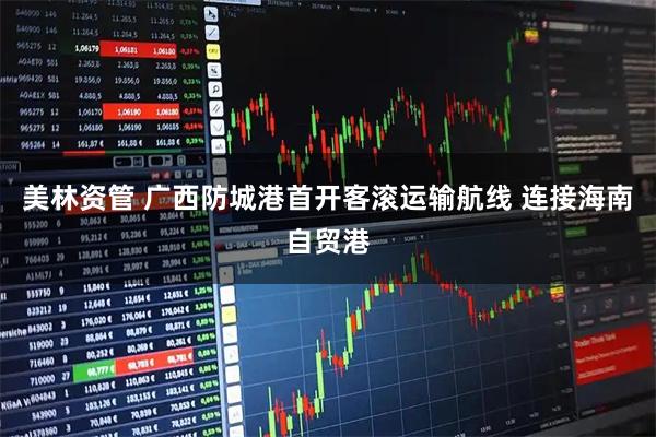 美林资管 广西防城港首开客滚运输航线 连接海南自贸港