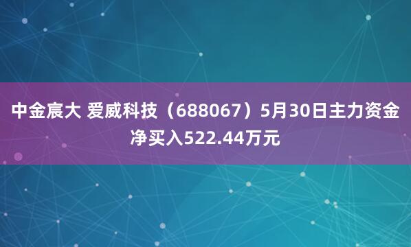 中金宸大 爱威科技（688067）5月30日主力资金净买入522.44万元