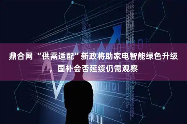 鼎合网 “供需适配”新政将助家电智能绿色升级，国补会否延续仍需观察